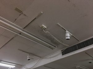 再発したカビ